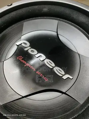 Pioneer TS-W308D2 12-Inch Dual 2-Ohm Car Subwoofer with Bass Tube