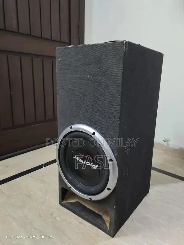 Pioneer TS-W308D2 12-Inch Dual 2-Ohm Car Subwoofer with Bass Tube