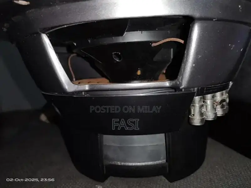 Pioneer TS-W308D2 12-Inch Dual 2-Ohm Car Subwoofer with Bass Tube