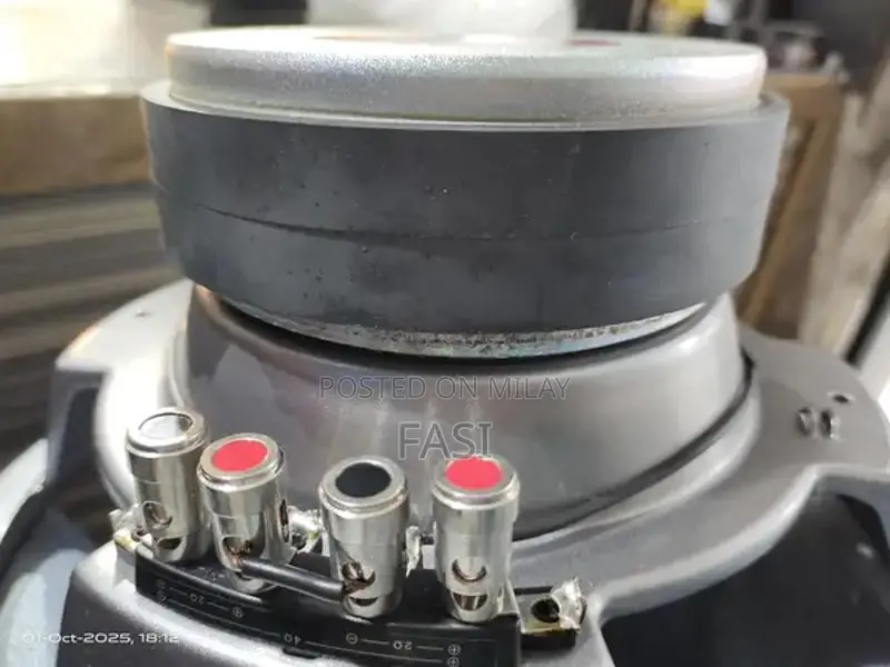 Pioneer TS-W308D2 12-Inch Dual 2-Ohm Car Subwoofer with Bass Tube