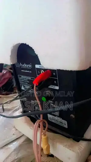 Dany Aduonic Bass Amplifier with 2 Speakers - High-Quality Sound Syste