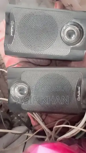 Dany Aduonic Bass Amplifier with 2 Speakers - High-Quality Sound Syste