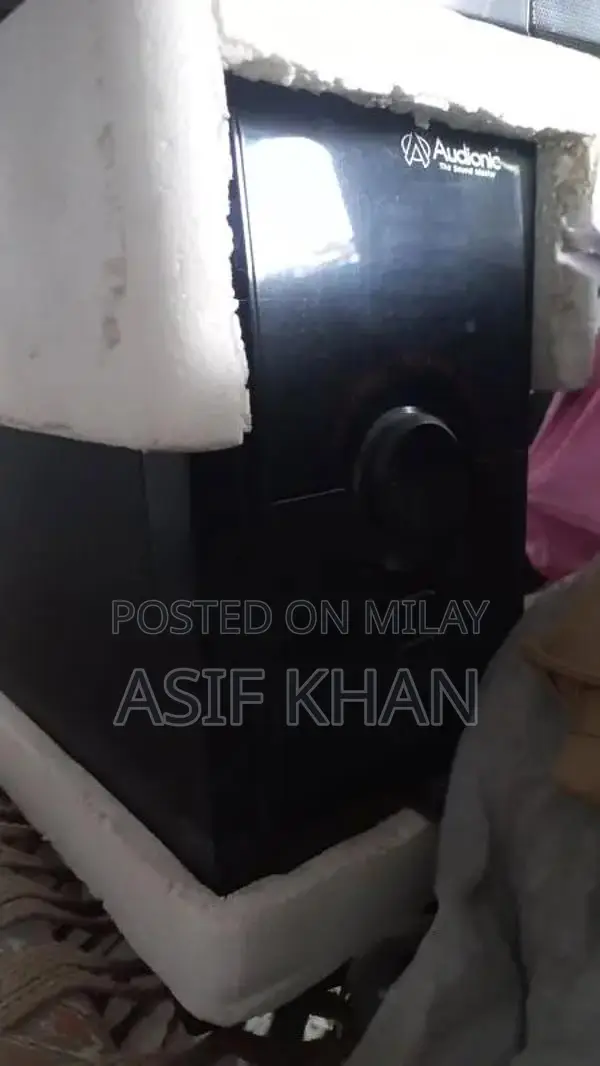 Dany Aduonic Bass Amplifier with 2 Speakers - High-Quality Sound Syste