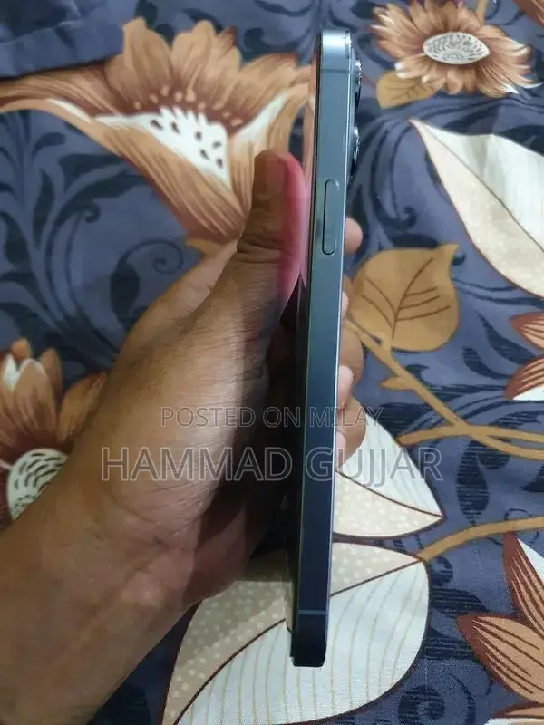 Factory Unlocked iPhone 13 Pro Max Smartphone