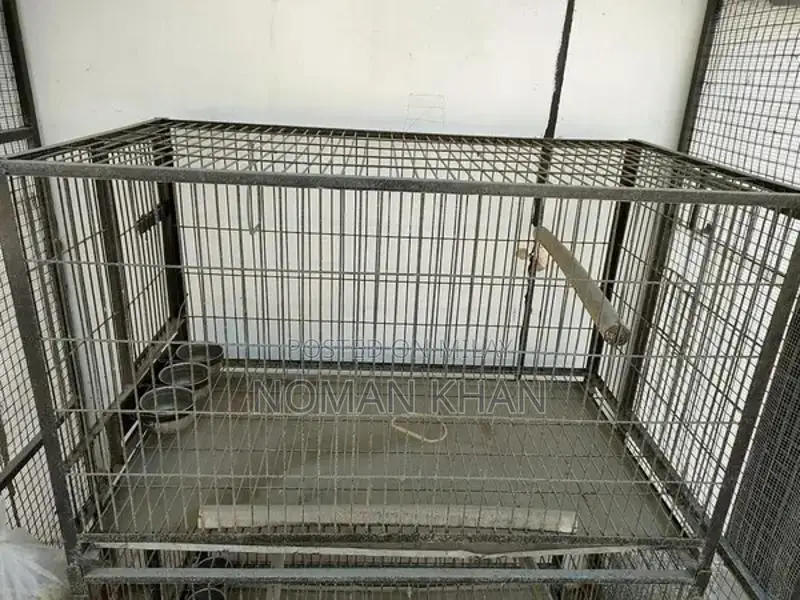 Large Iron Bird Cages - Spacious 4.5 x 2 x 2 ft Enclosures
