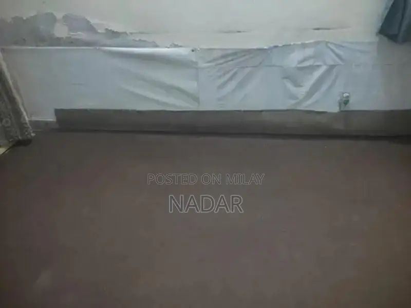 Soft Beige Rectangular Area Rug for Living Room or Bedroom