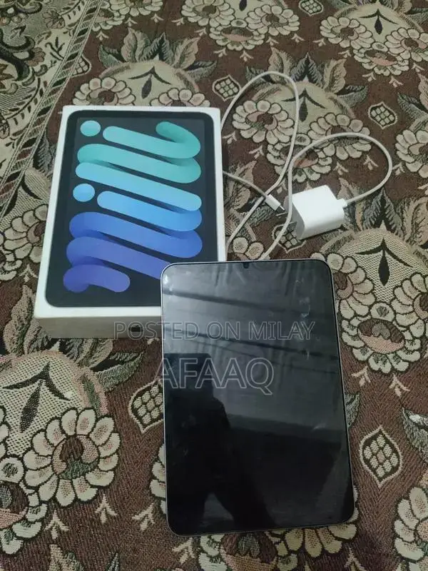 Apple iPad Mini 7 Compact Tablet