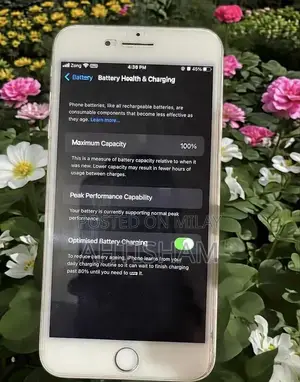 Apple iPhone 8 Plus 256GB PTA Approved Smartphone