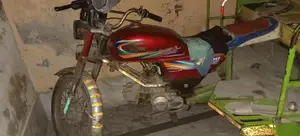 Photo - Okara Cant Riksha Vehicle