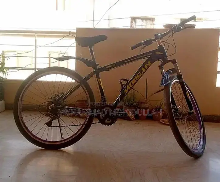 Morgan Full Size Gear Jumper Bicycle