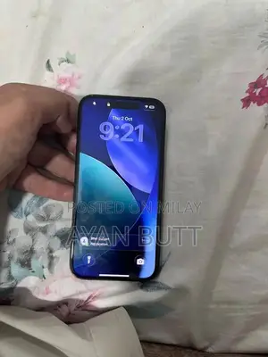 Premium Apple Smartphone 128GB Black Titanium Edition