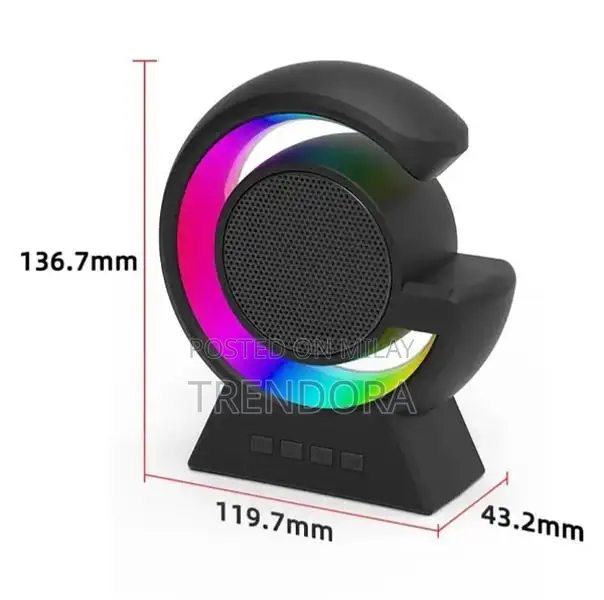LED Touch Lamp Wireless Speaker with Voice Control