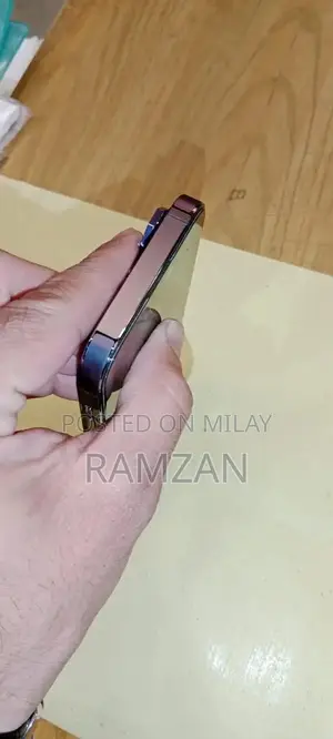 Apple iPhone 14 Pro 256GB Divine Color Smartphone