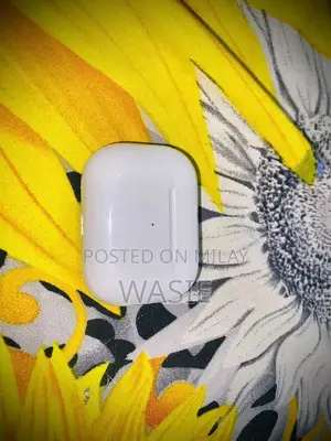 Photo - Air Pro Wireless Earbuds with USB-C Charging Cable