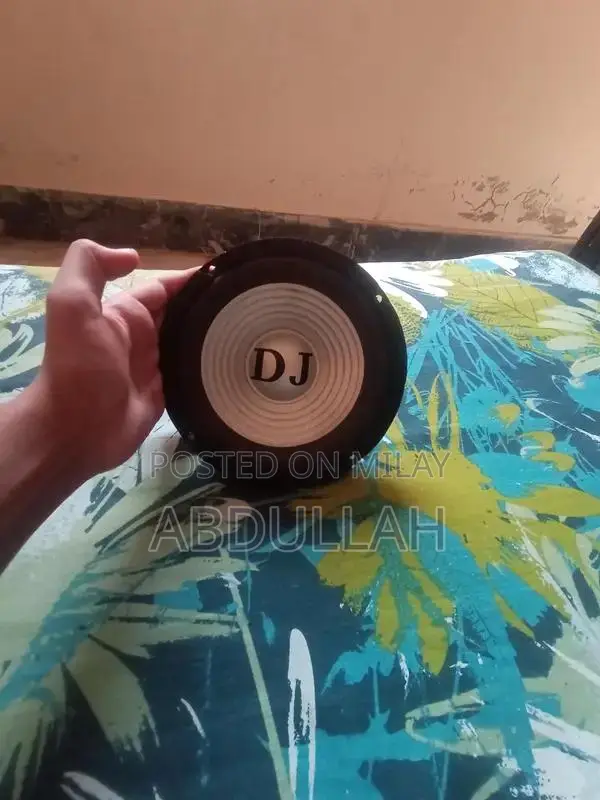 High-Performance Stereo Woofer Speaker System