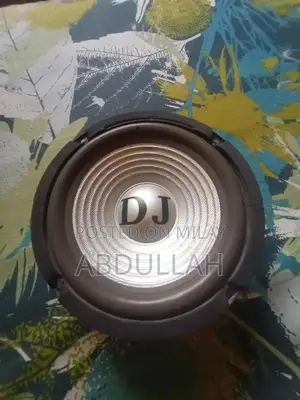 High-Performance Stereo Woofer Speaker System