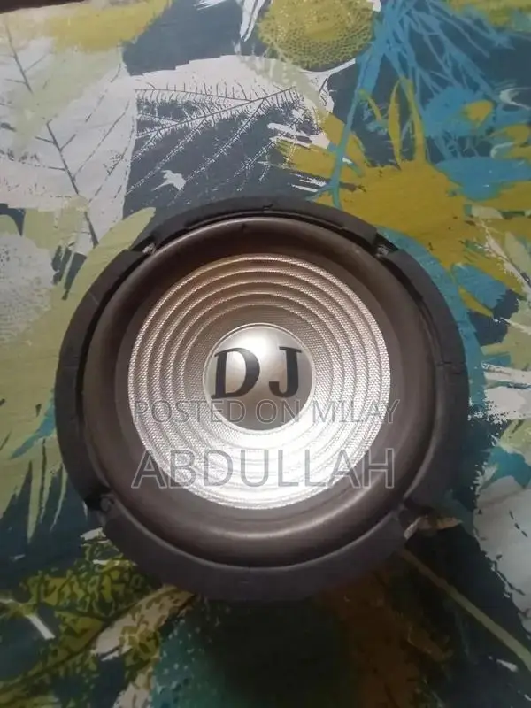 High-Performance Stereo Woofer Speaker System