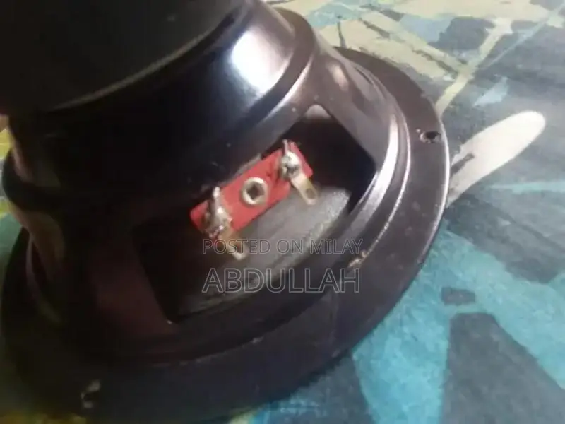 High-Performance Stereo Woofer Speaker System