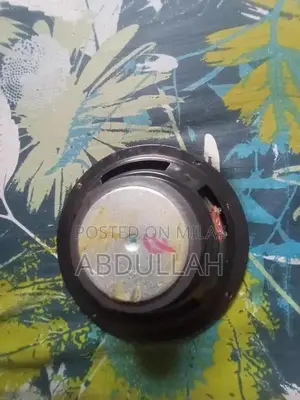 High-Performance Stereo Woofer Speaker System