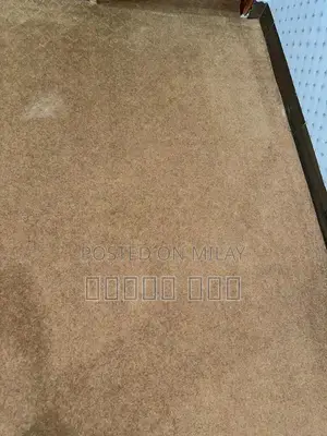Brown Multi-Surface Cleaning Carpet and Brush Set