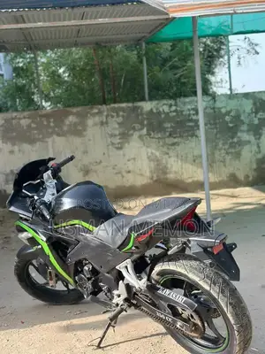 Sultan 250cc Motorcycle - High Performance Fuel-Efficient Bike