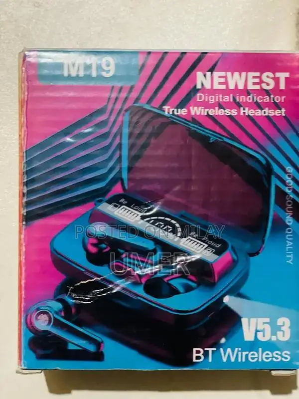 True Wireless Stereo Earbuds with LED Charging Case