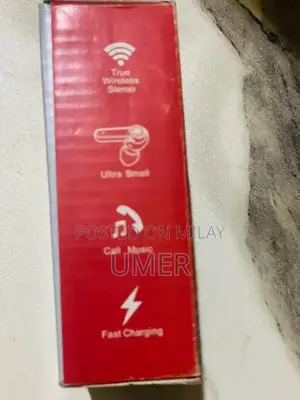 True Wireless Stereo Earbuds with LED Charging Case