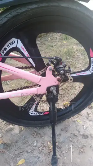 Gold Man Sports Bicycle for Girls and Riders