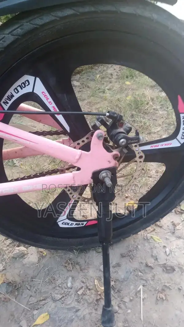 Gold Man Sports Bicycle for Girls and Riders