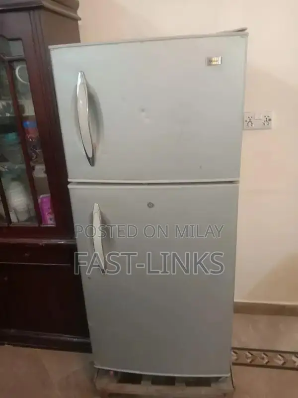 Non-Functional No Frost Refrigerator - Compressor Issue