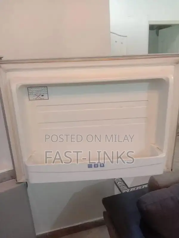 Non-Functional No Frost Refrigerator - Compressor Issue