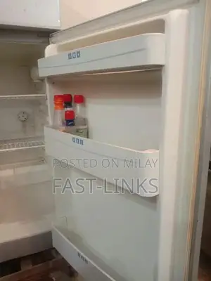 Non-Functional No Frost Refrigerator - Compressor Issue