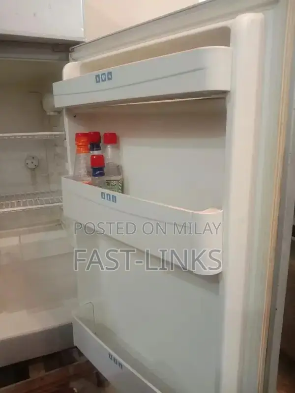 Non-Functional No Frost Refrigerator - Compressor Issue