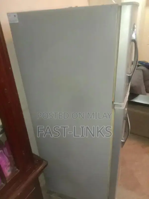 Non-Functional No Frost Refrigerator - Compressor Issue