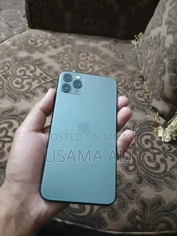 Premium Apple Smartphone 256GB Storage Fully Functional