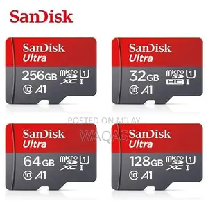 Photo - SD Memory Cards - Multiple Capacity Options