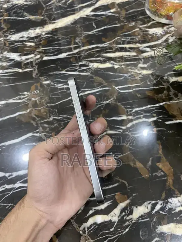 Unlocked White iPhone Pro 256GB Dual eSIM