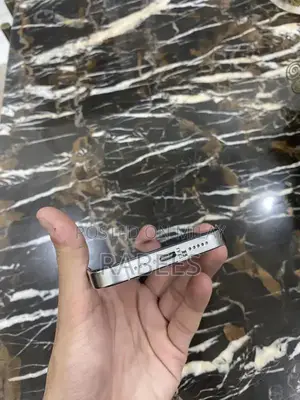 Unlocked White iPhone Pro 256GB Dual eSIM