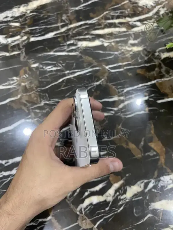 Unlocked White iPhone Pro 256GB Dual eSIM