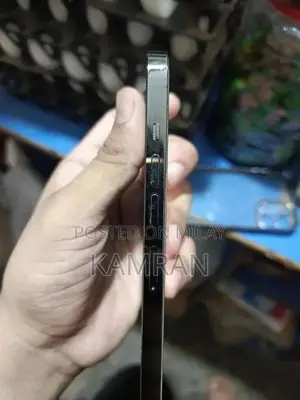 Apple iPhone 13 Pro Max Smartphone - High Performance Mobile Device