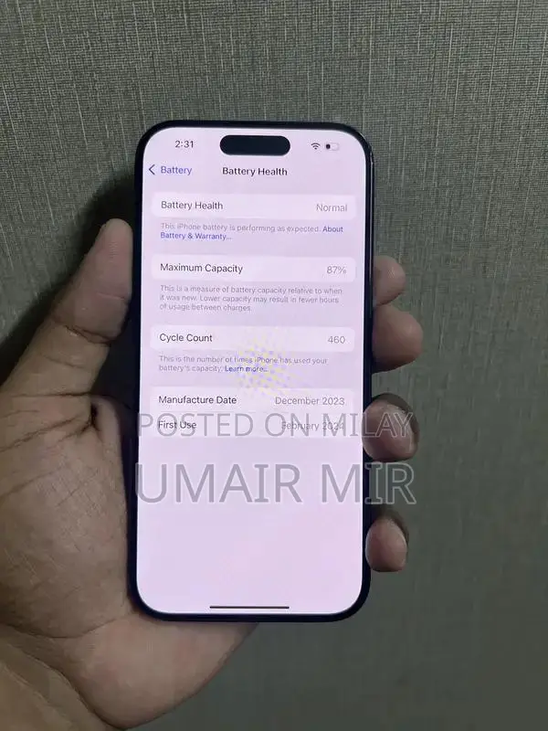 128GB Dual eSIM Factory Unlocked Smartphone with High Battery Health