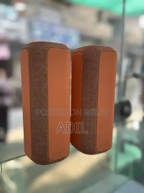 Sony XE200 Wireless Portable Speaker