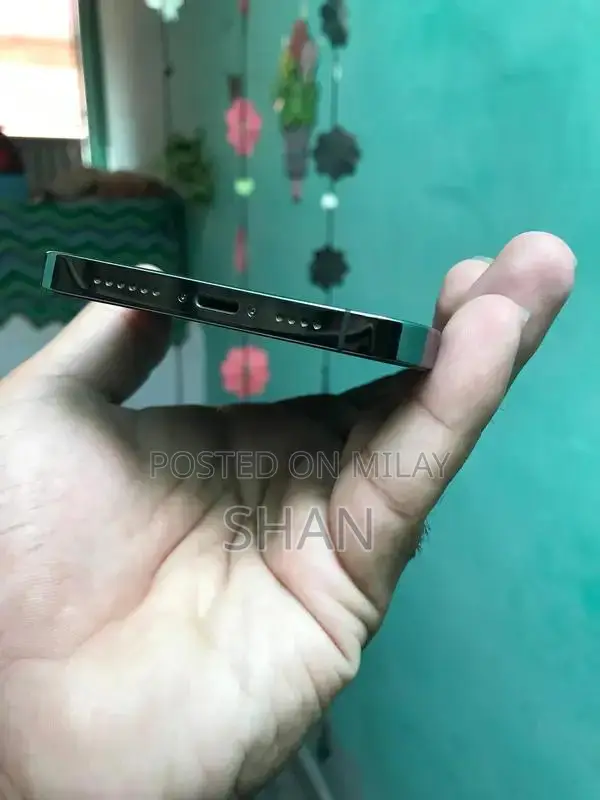 Apple iPhone 12 Pro Max 128GB Premium Smartphone