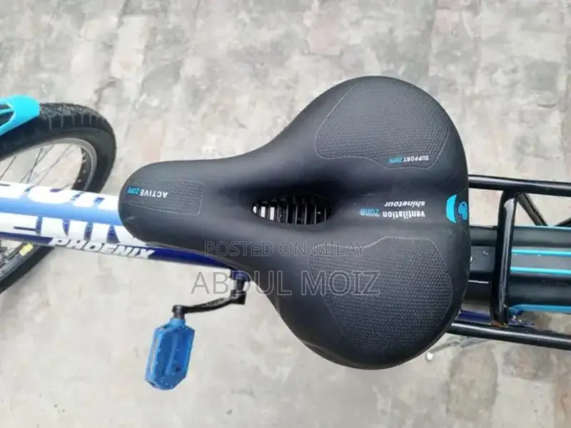 Lightly Used Bicycle - Excellent Condition, Short-Term Ownership