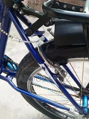 Lightly Used Bicycle - Excellent Condition, Short-Term Ownership