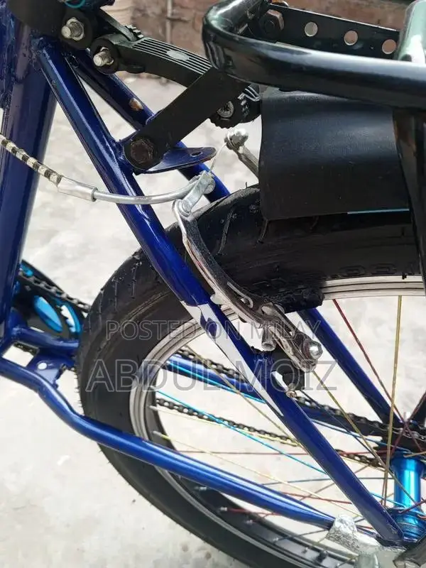 Lightly Used Bicycle - Excellent Condition, Short-Term Ownership