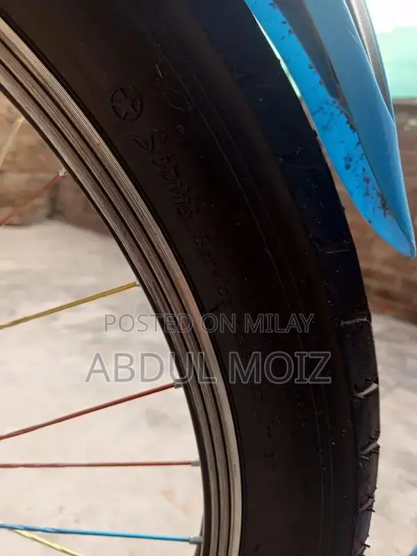 Lightly Used Bicycle - Excellent Condition, Short-Term Ownership