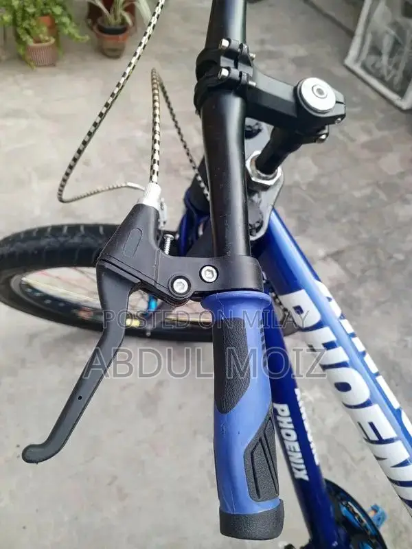 Lightly Used Bicycle - Excellent Condition, Short-Term Ownership