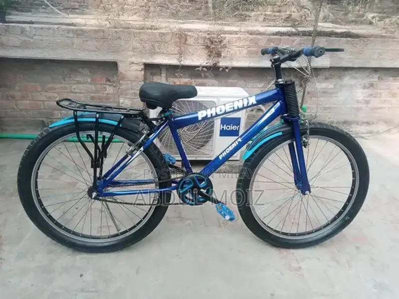 Lightly Used Bicycle - Excellent Condition, Short-Term Ownership