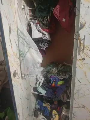 Lightly Used Wooden Almari Cabinet in Excellent Condition